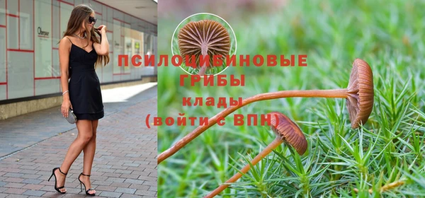 стафф Алексин