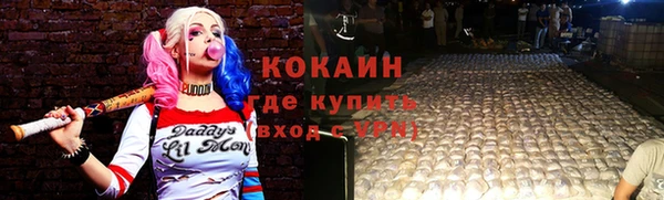 стафф Алексин