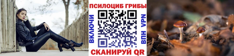 Галлюциногенные грибы ЛСД Алзамай